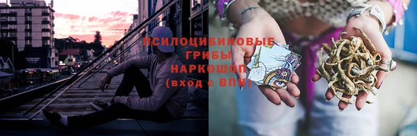 ПСИЛОЦИБИНОВЫЕ ГРИБЫ Наволоки