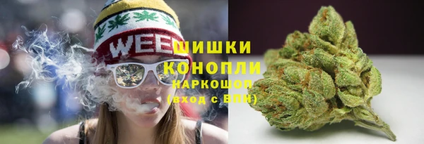 шишки Абинск