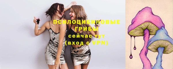 шишки Абинск