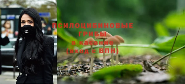 шишки Абинск