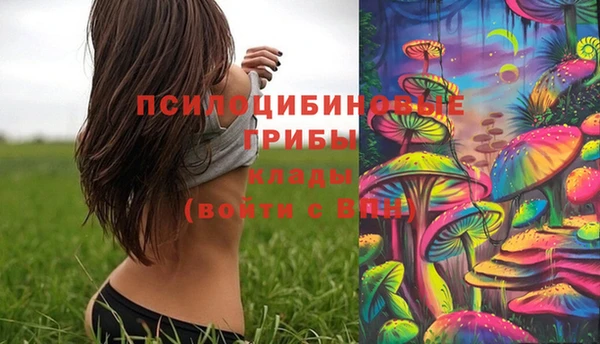 шишки Абинск