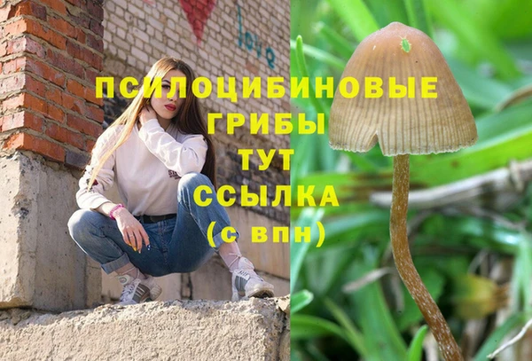 шишки Абинск